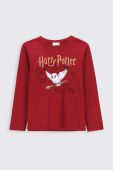 Дитячий лонгслів Coccodrillo колір бордовий (2591528)