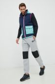 Безрукавка The North Face Men S Royal Arch Vest чоловіча перехідна колір барвистий