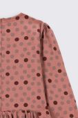 Дитяча бавовняна сукня Coccodrillo колір коричневий mini розкльошена