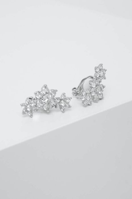 Кліпси Aldo NYSIUS NYSIUS.973 колір срібний