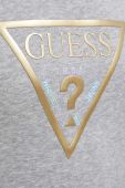Кофта Guess жіноча колір сірий з принтом (3302616)