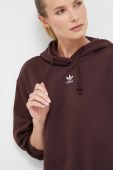 Кофта adidas Originals жіноча колір коричневий з капюшоном однотонна