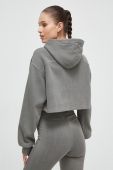 Кофта Reebok Classic жіноча колір сірий з капюшоном однотонна