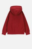 Дитяча бавовняна кофта Coccodrillo колір бордовий з капюшоном з принтом