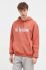 Кофта On Vacation чоловіча колір помаранчевий з капюшоном з аплікацією