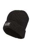 Дитяча шапка Didriksons BUS KDS BEANIE колір чорний