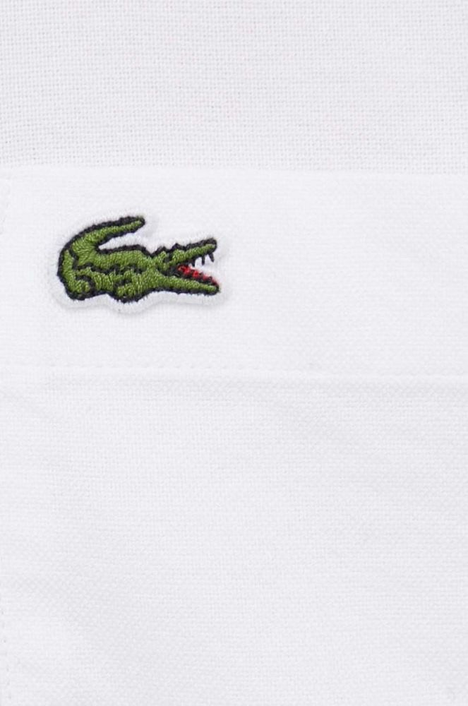 Бавовняна сорочка Lacoste чоловіча колір білий regular комір button-down (3537757) фото 5