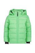 Дитяча зимова куртка Didriksons RODI KIDS JACKET колір зелений