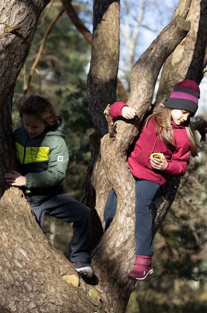 Дитячі зимові черевики Jack Wolfskin WOODLAND WT TEXAPORE HIGH VC колір бордовий фото 8
