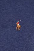 Бавовняний лонгслів Polo Ralph Lauren однотонний колір блакитний