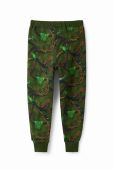 Дитячі спортивні штани Desigual колір зелений візерунок