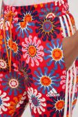 Штани adidas FARM жіночі візерунок колір барвистий