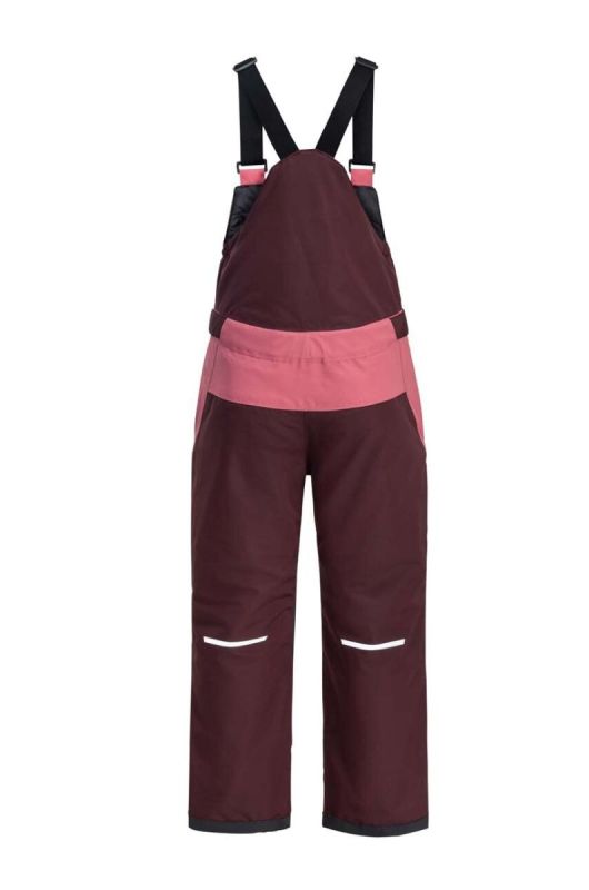 Дитячі лижні штани Jack Wolfskin ACTAMIC 2L INS BIB колір рожевий (3640406) фото 2