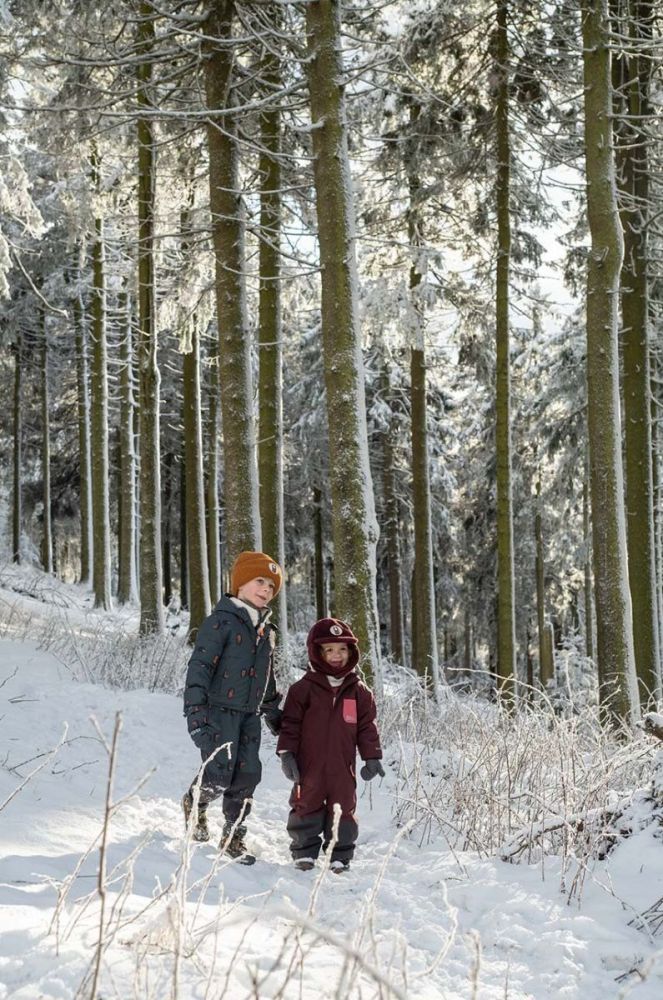 Дитячі штани для зимових видів спорту Jack Wolfskin GLEEL 2L INS PRINT BIB колір сірий фото 5