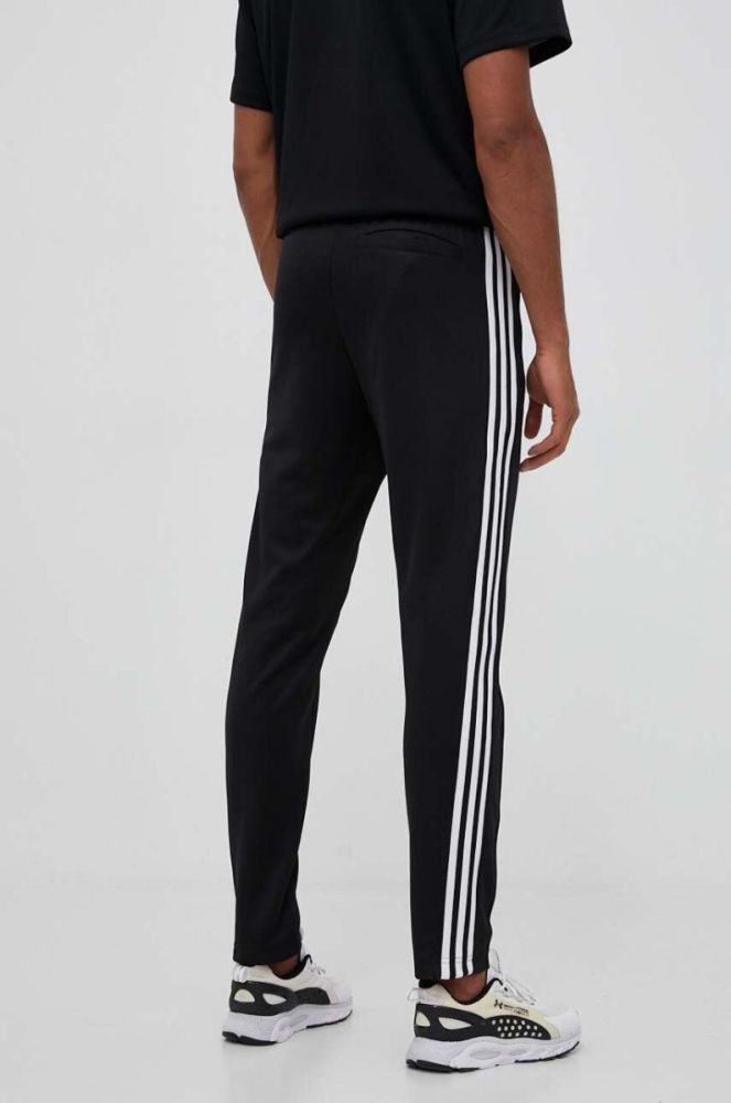 Спортивні штани adidas Originals колір чорний з аплікацією (3383984) фото 3