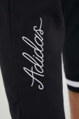 Спортивні штани adidas колір чорний однотонні (3342560)