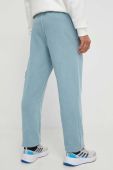 Спортивні штани Reebok Classic з аплікацією колір блакитний