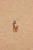 Бавовняний светр Polo Ralph Lauren колір бежевий легкий гольф