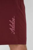 Шорти adidas чоловічі колір бордовий (3322502)