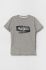 Дитяча бавовняна футболка Pepe Jeans колір сірий з принтом (3487022)