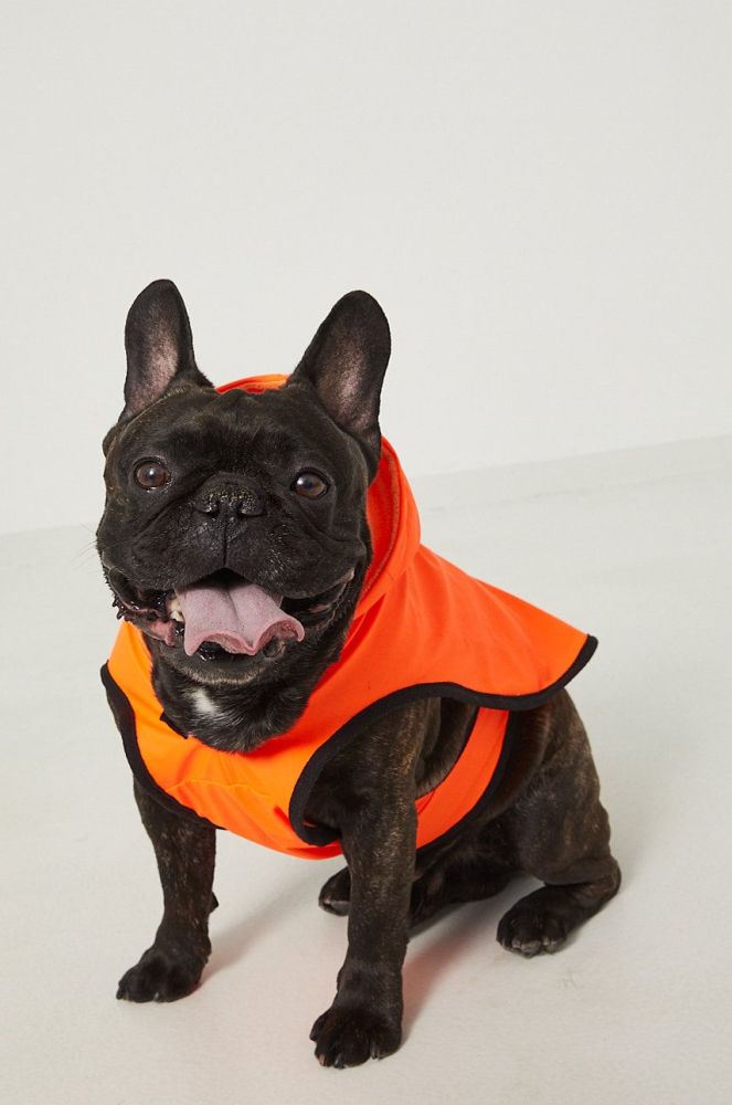 Medicine Куртка для собаки Comfort Traveller колір помаранчевий (2128270)