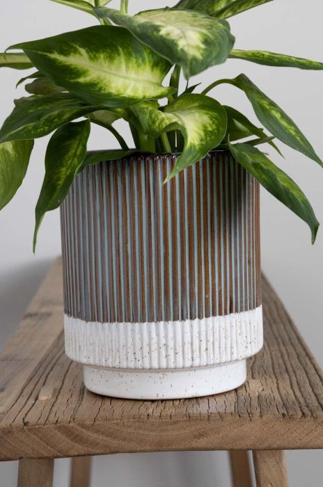 Підставка для квіткового горщика Medicine колір барвистий (3252071) Підставка для квіткового горщика Medicine колір барвистий (3252071)