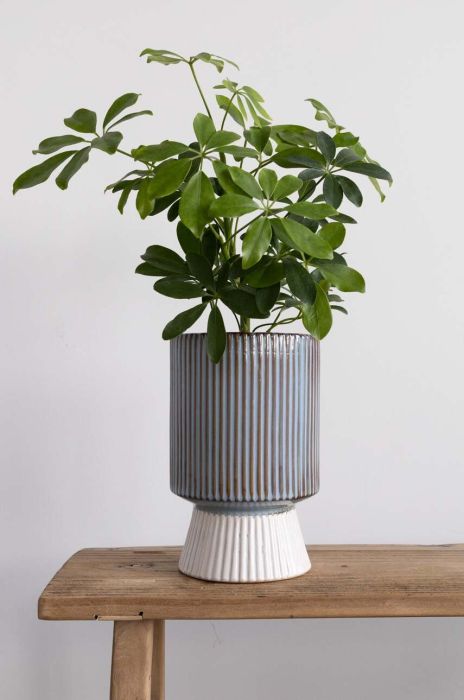 Підставка для квіткового горщика Medicine колір барвистий (3252072) Підставка для квіткового горщика Medicine колір барвистий (3252072)