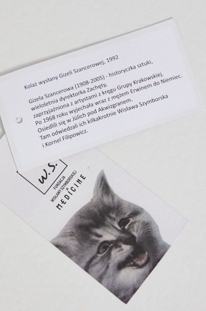 Medicine - Бавовняна футболка Wis?awa Szymborska колір бірюзовий (1834159) фото 7