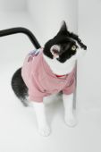 Medicine Кофта для домашнього улюбленця Psoty колір рожевий (2725974)