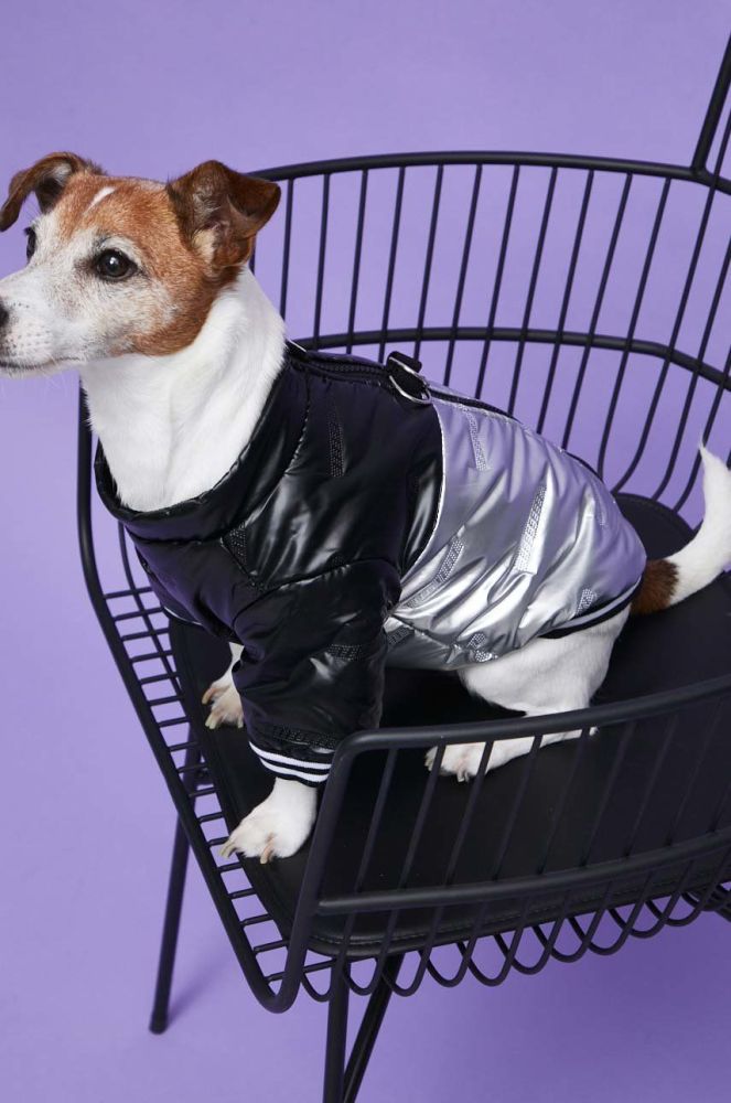 Куртка для собаки Medicine колір срібний (2832659)