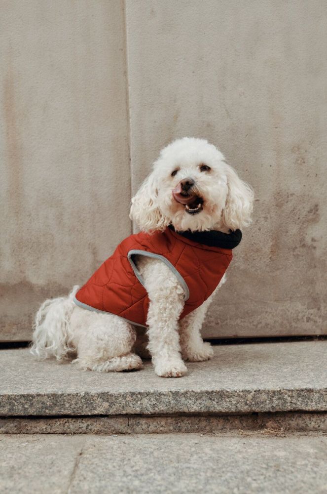Куртка для собаки Medicine колір червоний (3690580)
