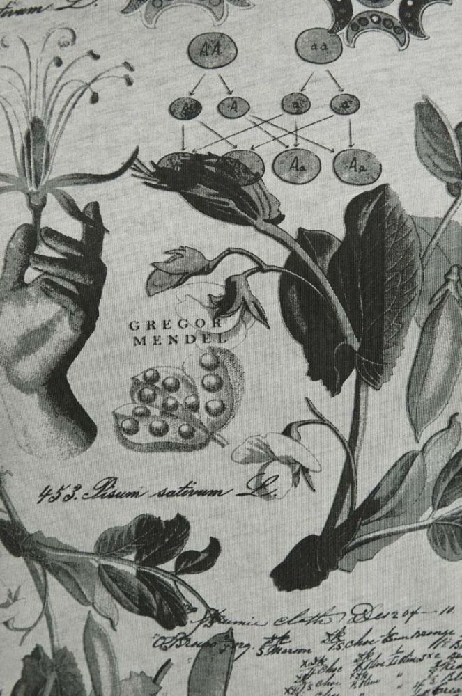 Бавовняна футболка Medicine колір сірий візерунок (3592541) фото 5