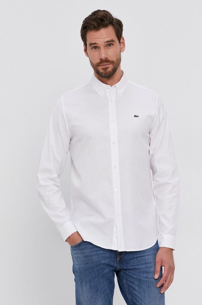 Бавовняна сорочка Lacoste чоловіча колір білий regular комір button-down (2325804)