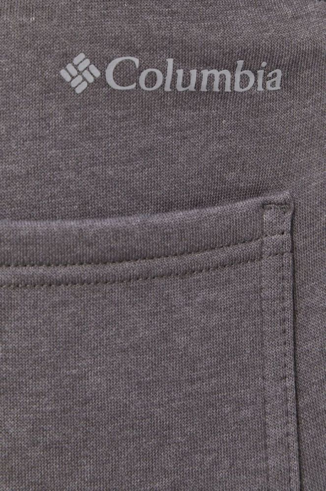 Штани Columbia чоловічі колір сірий гладке 1911601-010 (1595902) фото 4