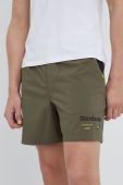 Шорти Reebok Classic H54406 чоловічі колір зелений