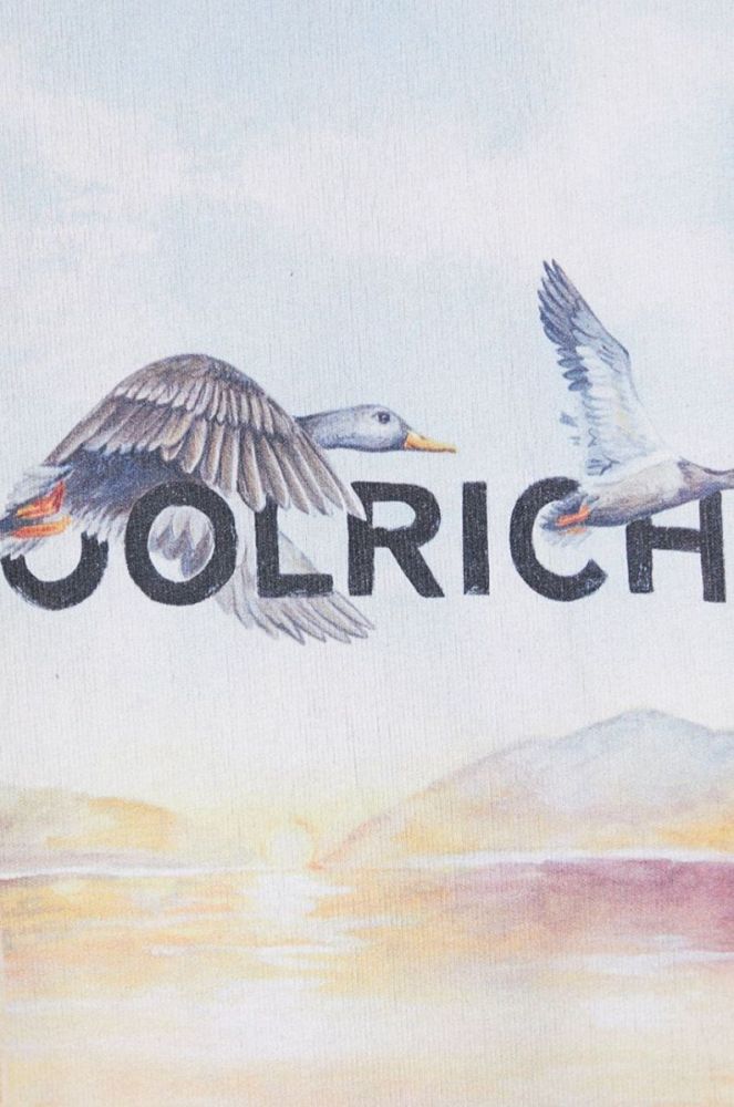Бавовняна футболка Woolrich колір сірий з принтом CFWOTE0067MRUT2924-103 фото 6