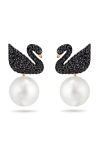 Сережки Swarovski ICONIC SWAN колір чорний (3273529)