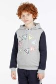 Дитяча бавовняна кофта Guess колір сірий з капюшоном візерунок (2877718)