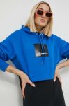 Кофта Karl Lagerfeld Jeans жіноча з капюшоном з принтом колір блакитний