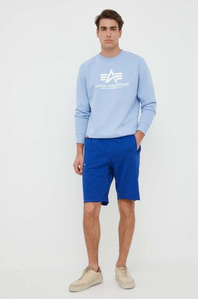 Кофта Alpha Industries чоловіча  з принтом колір блакитний фото 2