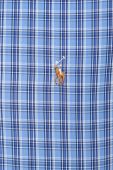 Сорочка Polo Ralph Lauren чоловіча slim класичний комір колір блакитний
