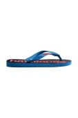 Дитячі в'єтнамки Havaianas LOGOMANIA колір синій (3246088)