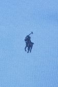 Бавовняне поло Polo Ralph Lauren однотонний колір блакитний (2975001)