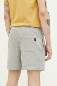 Шорти Protest чоловічі колір сірий (3197513)