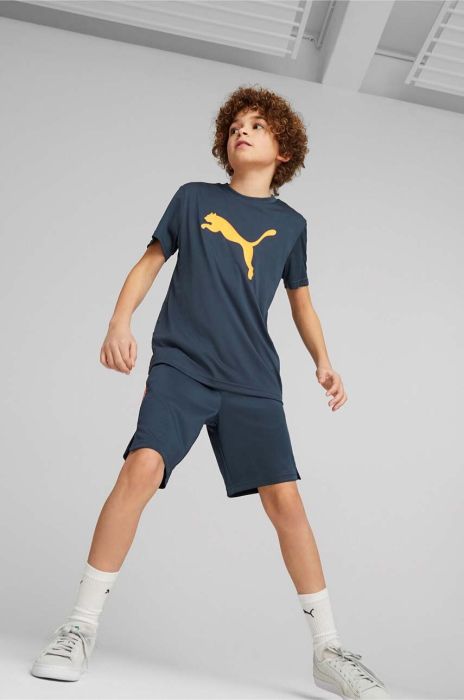 Дитяча футболка Puma ACTIVE SPORTS Poly Cat Tee B з принтом колір блакитний