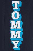 Дитяча бавовняна футболка Tommy Hilfiger колір синій з принтом (3075403)