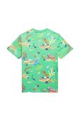 Дитяча бавовняна футболка Polo Ralph Lauren колір зелений візерунок (3023602)