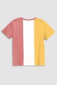 Дитяча бавовняна футболка Coccodrillo візерунок колір барвистий (2997385)