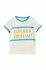 Дитяча бавовняна футболка Mini Rodini з принтом колір блакитний