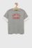Дитяча бавовняна футболка United Colors of Benetton колір сірий з принтом (3218387)